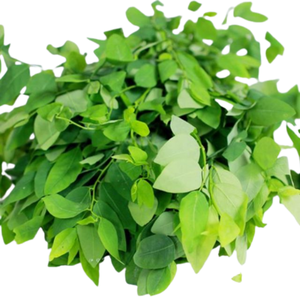 คาตาคุคุคุคุแบบมีใบหวานสำหรับชาสมุนไพรส่วนผสมจากเวียดนามแห้งผลิตจากโรงงาน - Product Image 1