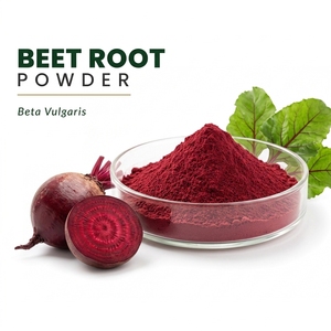 Natural Beet <b>Root</b> Powder Beta Vulgaris Herbal Extract Food Grade Fine Powder for Beverage and Nutrition - Product Image 1