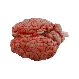 Cerveau de bœuf congelé en gros, qualité supérieure, halal, pour la restauration et l'exportation - Product Image 2