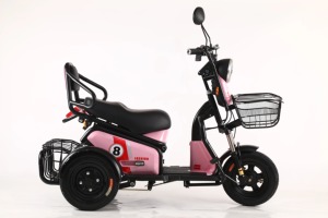Tricycle électrique familial compact avec moteur 600W, contrôleur 9 tubes et batterie au plomb - Product Image 4