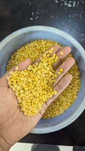 Venta Rápida de Guisantes de Cuchara (Toor Dal) Orgánicos y Convencionales, Secos, Pulidos y Partidos, Alto Contenido Proteico, Nueva Cosecha, Fácil de Cocinar, Suministro a Granel de 30 kg - Product Image 2