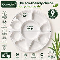 Assiette ronde en bagasse à 9 compartiments de 12,4 pouces en gros |   Assiette de service alimentaire jetable en fibre de canne à sucre écologique