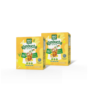 Venta Directa de Fábrica: Té en Polvo Sin Azúcar, Barritas de Fruta Deshidratada en Sobres, Té Kombucha, Miel y Jengibre en Polvo - Product Image 1