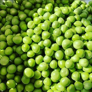 Fabricante y Proveedor Líder de Guisantes Verdes Congelados, Precio de Mercado Genuino con Varios Tamaños y la Mejor Oferta de Descuento - Product Image 4