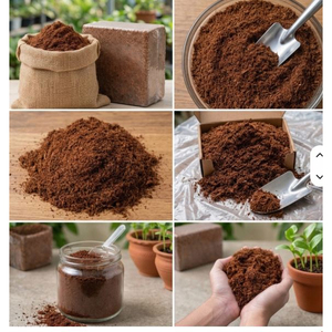 Turba de Coco de Calidad Genuina para Germinación de Semillas, Preparación de Sustratos para el Cultivo de Semillas al Mejor Precio, Turba de Coco - Product Image 1