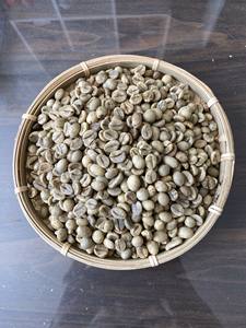 Prêt pour l'exportation grains de café Robusta torréfiés nouvelle culture processus vert vente chaude en gros pour Mme Sam WA 84 971827680 - Product Image 4