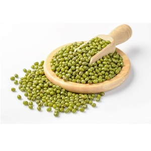 Munggo Kacang Hijau (Munggo Verde) Más Vendido para Exportación a Granel, Supermercados y Servicios de Alimentación, Disponible a Precio de Fábrica - Product Image 1