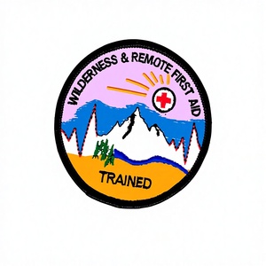 Parches Bordados Personalizados de Primera Calidad con Emblemas All Star, en Tela No Tejida, Termoadhesivos para Gorras y Ropa - Product Image 3