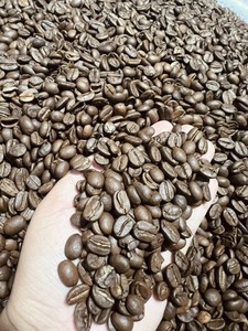 เมล็ดกาแฟโรบัสต้าคั่วเต็มเมล็ดคุณภาพสูงสุดสำหรับเอสเพรสโซ |   บรรจุภัณฑ์แบบกำหนดเอง OEM |   เซเลสเต วิลาโคนิค |   ธรรมชาติ 100% |   กระสอบป่าน 60 กก. - Product Image 1
