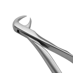Pinzas Extractoras de Dientes para Adultos, Instrumentos Dentales Manuales de Acero Inoxidable para Uso Profesional - Product Image 6