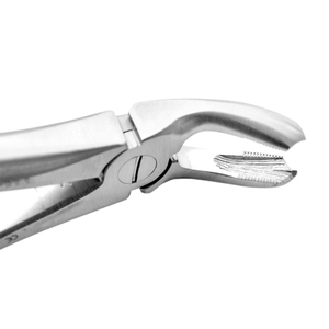 Forceps d'extraction dentaire Fig. 20 pour la troisième molaire inférieure, instrument chirurgical en acier inoxydable - Product Image 2