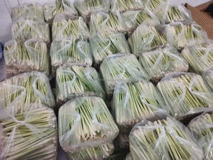 Citronnelle surgelée IQF de haute qualité, entière et en tranches, emballée sous vide, légumes frais du Vietnam - Product Image 6