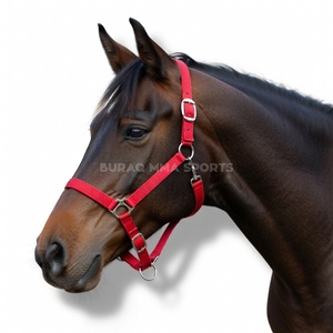 Accessoires complets pour chevaux : bride, corde, licou, pour petits et grands poneys, en nylon, fournitures équestres, style selle western - Product Image 1