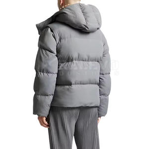 Chaquetas Acolchadas con Capucha North Face al por Mayor, Cierre de Cremallera, Servicio OEM, Transpirables, de Secado Rápido, para Hombre, Primavera, Impermeables, con Logotipo Frontal - Product Image 2