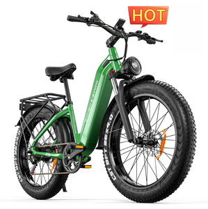 จักรยานไฟฟ้าแบบ Step Through รุ่น EBYCCOS&DAHON 26" C9 Peak 2000W 48V 20Ah ที่ขายดีที่สุด - Product Image 4