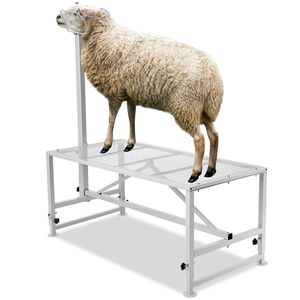 Soporte Metálico Ajustable en Altura para Cabras y Ovejas de 51x23 Pulgadas, Equipo para Ordeño y Esquilado de Ganado de 21 a 33 Pulgadas - Product Image 5
