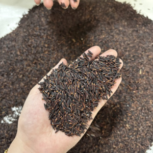 Proveedor de ARROZ SALUDABLE MORADO para el mercado de la UE - Empaquetado en cajas de cartón de 1KG, 2KG, 5KG y bolsas al vacío para supermercados (Joice) - Product Image 6