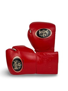 Gants de boxe à lacets de qualité supérieure – No Boxing No Life – Qualité professionnelle - Product Image 6