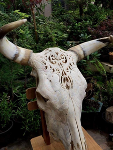 Crafted Buffalo <b>Bull</b> & Ram <b>Skull</b> with Majestic Horns Modern Cultural Wall Art and Stand Decoration for Sophisticated Interiors - Product Image 5