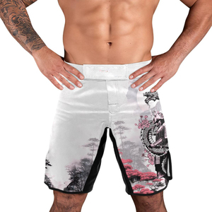 Wholesales Price Custom Made MMA <b>Shorts</b> Latest Designs Martial Arts MMA <b>Grappling</b> <b>Shorts</b> OEM Sublimation Printed Fighter <b>Shorts</b> - Product Image 5