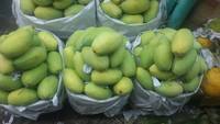 Tropische verse mango, zoet en sappig fruit, groothandel, hoge kwaliteit uit Vietnam, beste exportkwaliteit, 99 Gold Data Brand, graad 12-16cm