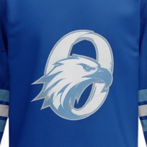 Camiseta Deportiva de Hockey sobre Hielo Sublimada en Azul Rey para Hombre, Cuello en V, Manga Larga, Uniforme Deportivo de Poliéster - Product Image 5