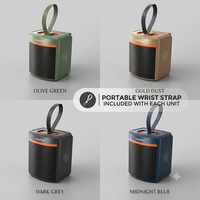 Altavoz Portátil LN-5316MINI con Soporte para Teléfono, Perillas de Precisión, Antena Telescópica, Radio FM, Bajos Potentes, Venta al Por Mayor