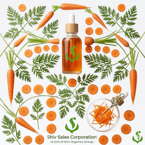 Huile de Carotte 100% Pure de Qualité Cosmétique pour Laboratoires Cosmétiques, Fabricants de Soins de la Peau, Industrie de la Beauté (Vente en Gros) - Product Image 4