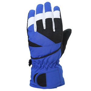 Gants de ski et de snowboard personnalisables pour hommes, femmes et enfants, gants isolés respirants et imperméables pour l'hiver - Product Image 1