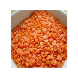 Lentilles rouges naturelles séchées Masoor Dal d'origine Telangana, durée de conservation de 12 à 18 mois, emballage en vrac, export alimentaire, Saanvisha Global - Product Image 1
