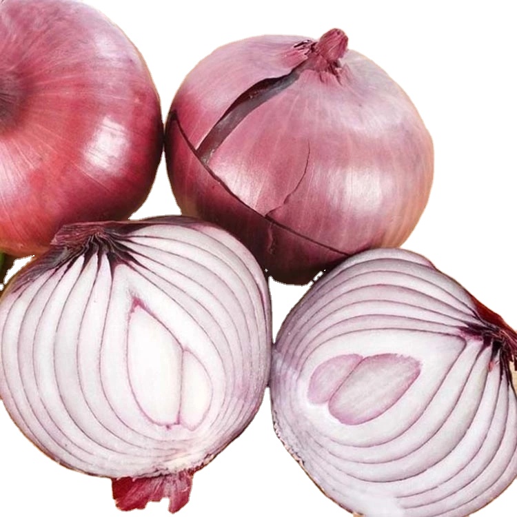 dried red onion