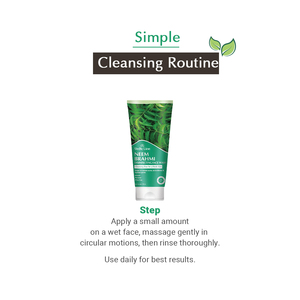 โฟมล้างหน้าฆ่าเชื้อสมุนไพรคุณภาพสูง วีดิก ไลน์ 120 มล. นีม & บราห์มี สำหรับการดูแลผิวพรรณ พร้อมจำหน่ายในราคาที่ดีที่สุด - Product Image 5