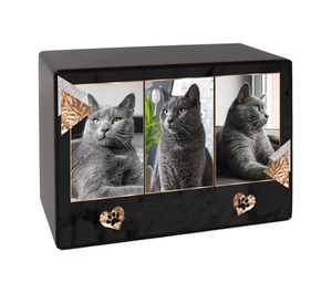 Urna Funeraria de Madera para Cenizas de Mascotas, Urnas de Cremación de Madera para Cenizas de Perros y Gatos, Urnas de Madera de Palisandro a Bajo Precio - Product Image 1