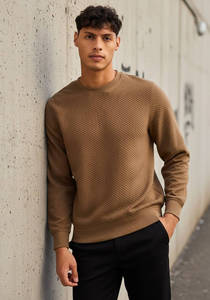 Sudadera de Manga Larga con Cuello Redondo, 100% Algodón Orgánico, Estilo Velour, Personalizable con Logotipo, para Hombre, Venta al Por Mayor, Marca Privada - Product Image 4