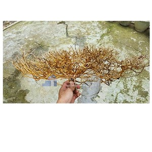 Adornos de madera flotante natural irregular y única para acuarios, decoraciones para paisajismo acuático, duraderas, ecológicas, hechas en Vietnam. - Product Image 1