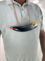 Cor d'ornier de qualité supérieure, cor artisanal en cor d'ornier véritable avec trompette naturelle, provenant de l'Uttar Pradesh, vente en gros.