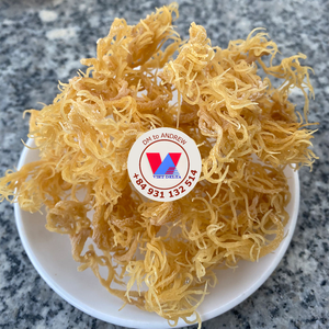 Algues Marines Séchées Sans Épine Blanches et Jaunes Dorées (Cottonii) – Ingrédient Populaire pour Boissons, Salades et Masques - Product Image 6