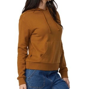 Sudadera con capucha estilo urbano clásico, forro polar cálido, corte holgado, perfecta para uso diario, sudaderas de moda urbana con logo bordado. - Product Image 1