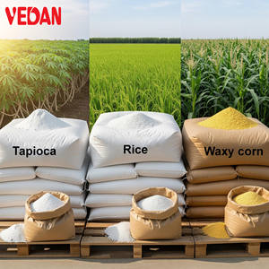 Almidón Funcional con Alto Contenido de Fibra Dietética Vedan RT-90 para Formulaciones Alimentarias Saludables - Product Image 5