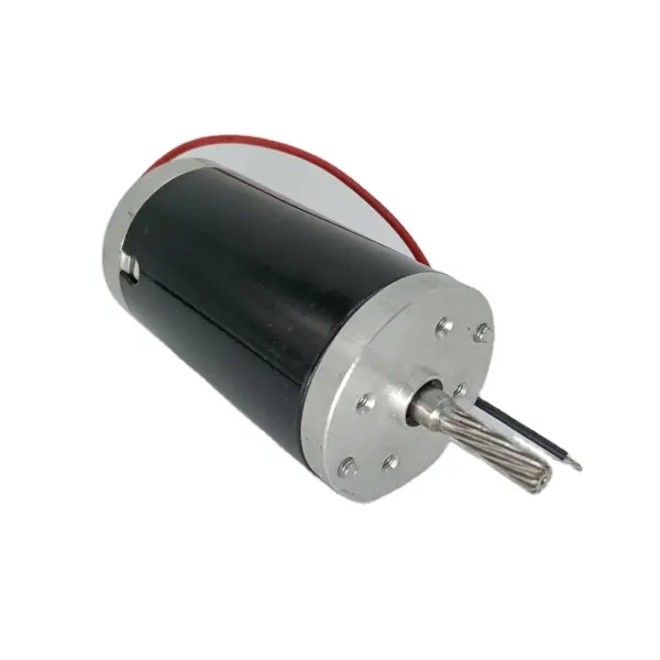 Kapalı koruma ile Massar için profesyonel 60W yüksek güvenilirlik PM DC Motor vibratör düşük gürültü evrensel DC Motor