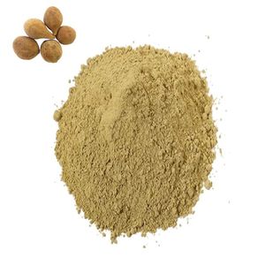 Export Quality 100% Pure Baheda Fruit Powder Health Food Grade Baheda Powder Bulk Supply Helps Support Natural Digestion Balance - Product Image 5