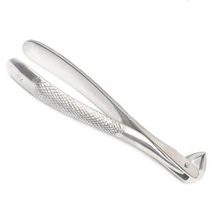 High Quality CE Certified Manual Stainless Steel Dental Extracting Forceps English Pattern Surgical <b>Instruments</b> By Grip Surgical - Product Image 4