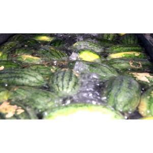 VINUT Eau pétillante naturelle saveur pastèque 11 Floz Can Répertoire du fabricant - Product Image 4