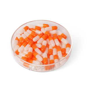 Groothandel Bulk Op Maat Gemaakte Lege Harde Gelatinecapsules Gmp Halal Gecertificeerde Maten 000 00 0 0e 1 2 3 4 5 Grondstof Hpmc - Product Image 4