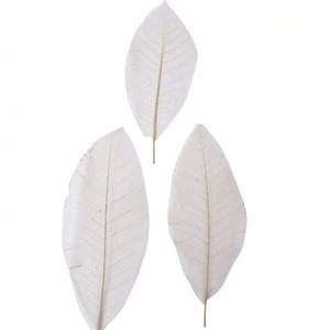 Feuillage décoratif de haute qualité, écologique et premium, à feuilles longues, couleurs personnalisées pour arrangements floraux DIY, vente en gros, décoration 2023 - Product Image 1
