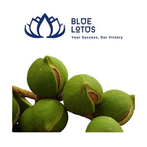 NOUVEAUTÉ : Noix de Macadamia Premium Écologiques – Aliment Croquant Durable pour une Nutrition Quotidienne - Product Image 1