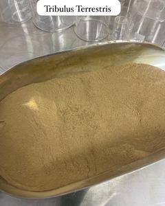 ผงสกัดจาก Tribulus Terrestris ผลิตภัณฑ์เสริมอาหารสมุนไพร ผู้ผลิตแบบ OEM จัดจำหน่ายจำนวนมาก - Product Image 4