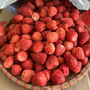 Fraises entières lyophilisées de qualité supérieure, croustillantes, naturelles, collations saines, approvisionnement en vrac, Vietnam - Product Image 1