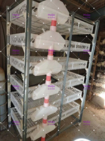 Cage d'élevage de cailles en plastique durable, anti-corrosion, peu encombrante, pour la ponte des œufs de cailles en élevage avicole HJ-QC400B