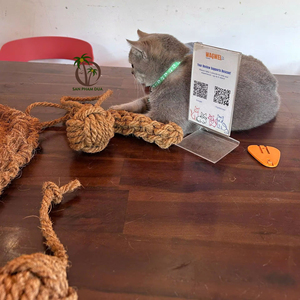 Jouet pour animaux de compagnie en fibre de coco fait main, balle résistante à mâcher, matériau naturel, fabricant vietnamien, produits naturels en fibre de coco pour animaux de compagnie - Product Image 1